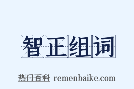 智正组词是什么意思的图片